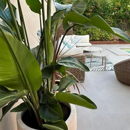 Villa Tres Agreable Et Spacieuse Avec Piscine, Jardin Et Clim